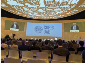 EWB Canada CEO at COP28 in the UAE