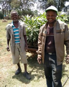 GreenPath partner farmer buying avocado seedlings. 